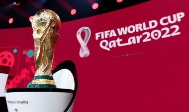 Sau một tuần khai mạc, World Cup 2022 phủ sóng Google Tìm Kiếm