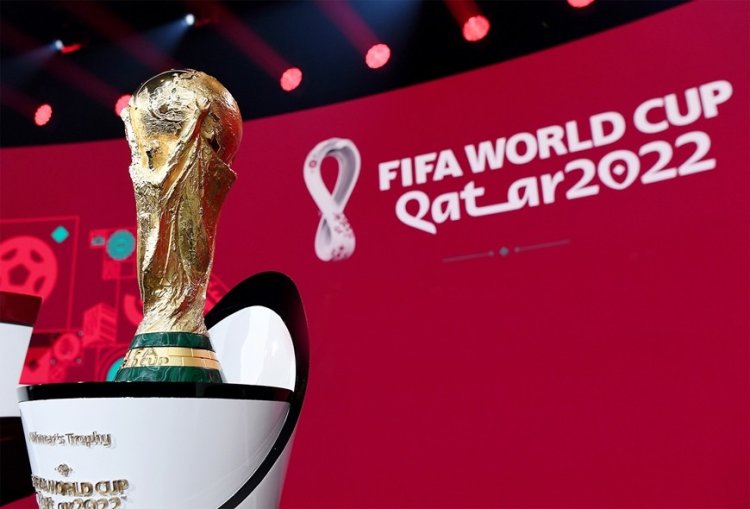 Sau một tuần khai mạc, World Cup 2022 phủ sóng Google Tìm Kiếm