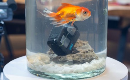 Quick Access phân phối GoPro HERO12 Black tại Việt Nam