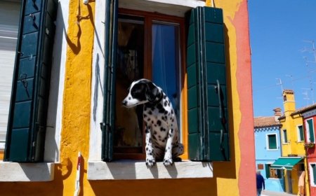 Liệu OpenAI Sora có phải bước ngoặt trong công nghệ video?