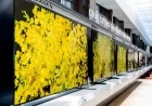 Sony BRAVIA TV và BRAVIA Theatre 2026: Hoàn thiện rạp phim tại gia trong kỷ nguyên màn hình lớn
