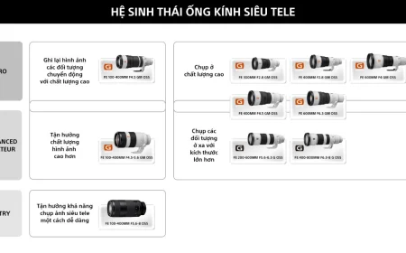 Sony mang đến hệ sinh thái ống kính siêu tele toàn diện, đồng hành cùng nhiếp ảnh thiên nhiên và thể thao